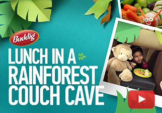 Have Lunch in a Rainforest Couch Cave
